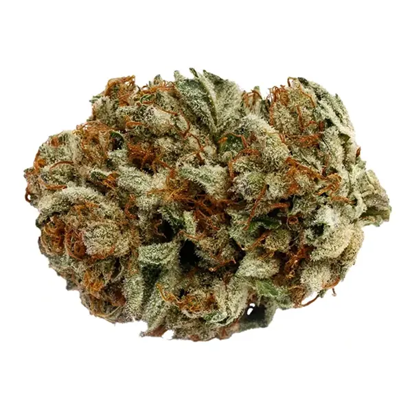 Bud image for D. Bubba, cannabis all categories by Pure Sunfarms