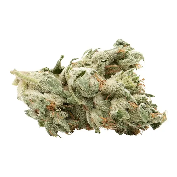 Product image for DTHBBB, Cannabis Flower by Re-Up
