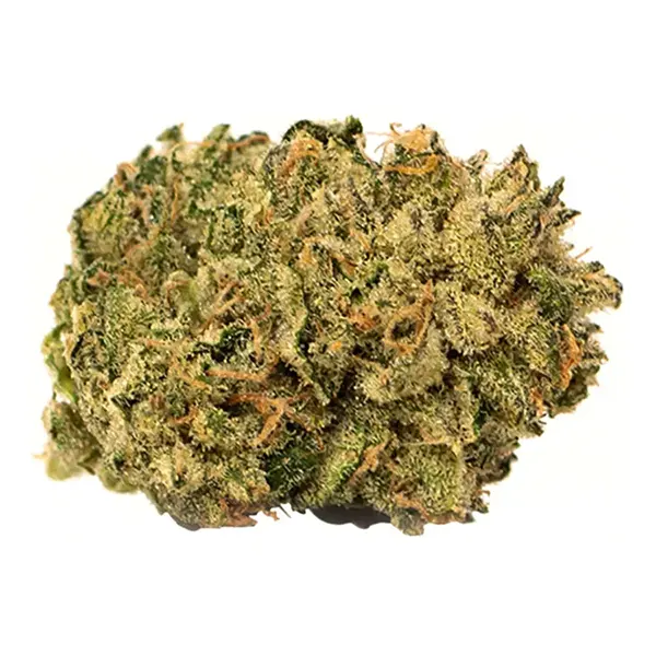 Bud image for Fire OG, cannabis dried flower by Robinsons