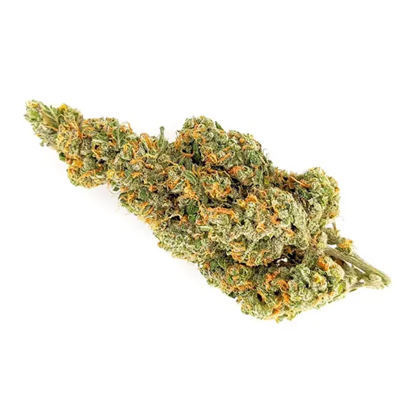 Bud image for Gelatti, cannabis dried flower by MSIKU