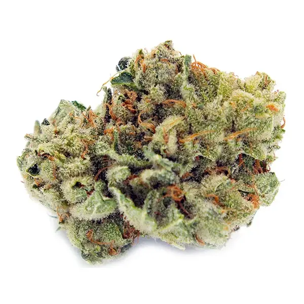 Product image for GG#4, Cannabis Flower by Ignite