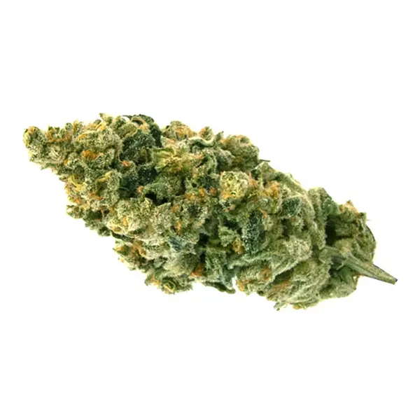 Bud image for Grapefruit GG1, cannabis all categories by Emerald