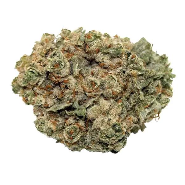 Bud image for HiFi 4G, cannabis all categories by Steel City Green