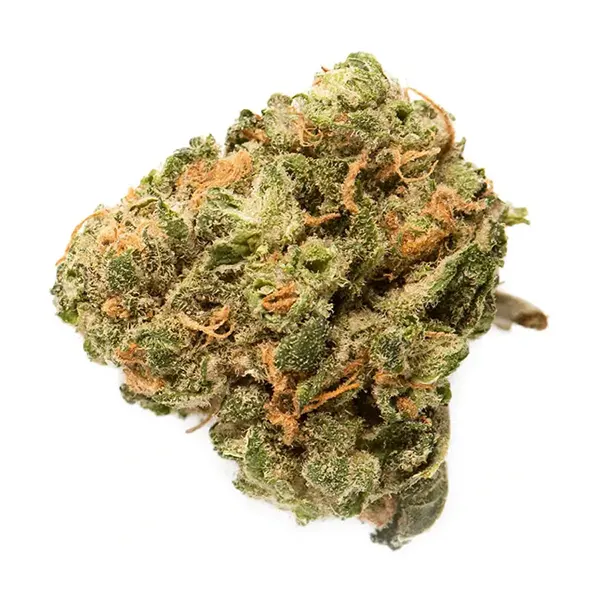 Bud image for Hybrid, cannabis dried flower by Grasslands