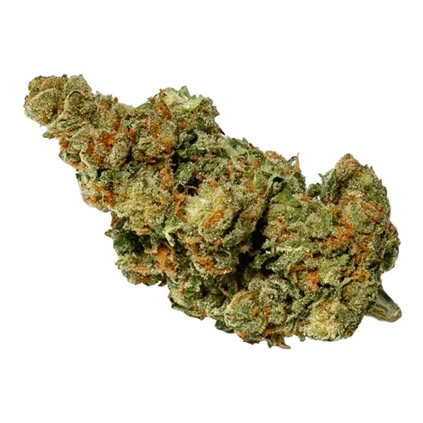 Product image for Hybrid, Cannabis Flower by Pure Sunfarms