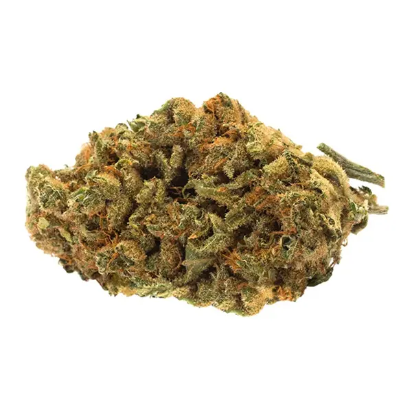 Bud image for Indica Bud, cannabis dried flower by TWD.28