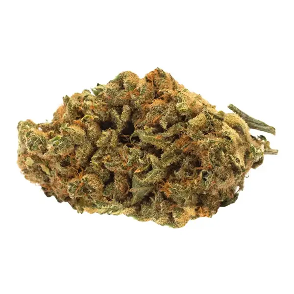 Indica Bud (Dried Flower) by Simple Stash
