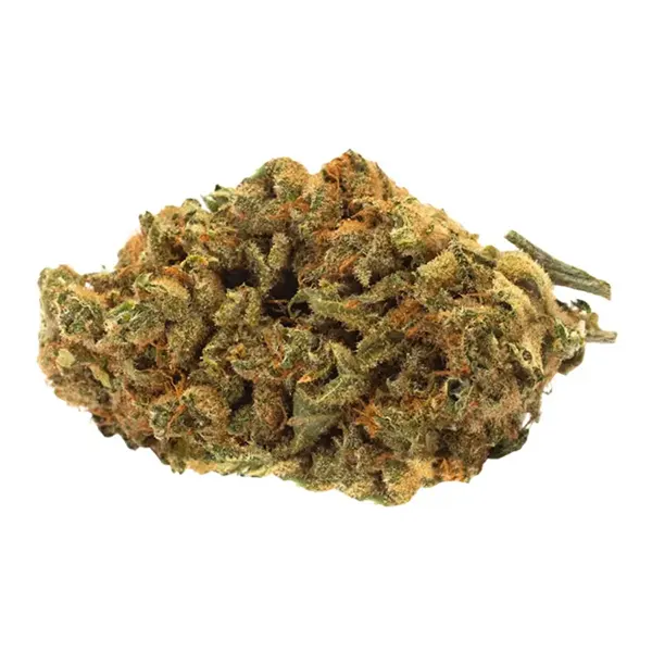 Bud image for Indica Bud, cannabis all categories by Simple Stash