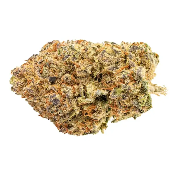 Bud image for Indica!, cannabis dried flower by Bingo