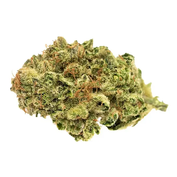 Jack Herer (Dried Flower) by Good Supply