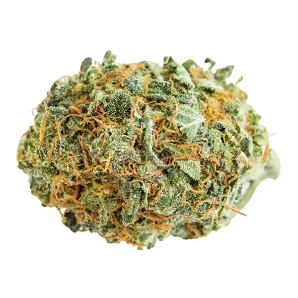 Bud image for Lemon Dory, cannabis all flower by Skosha