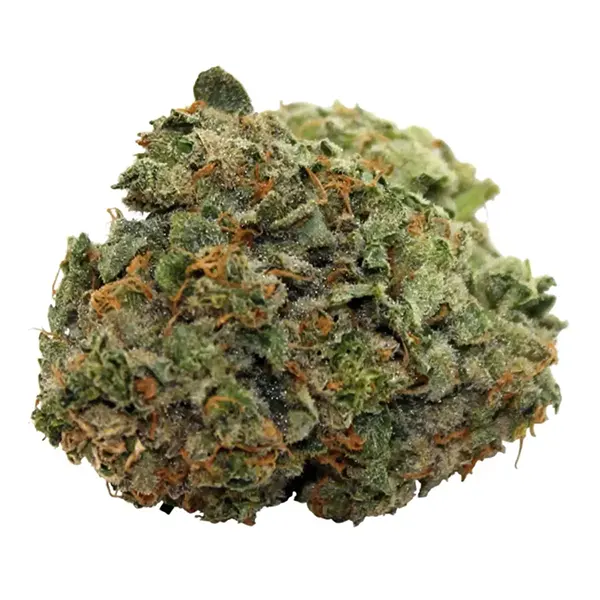 Bud image for Lemon Ziddy, cannabis all flower by Steel City Green