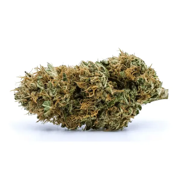 Bud image for Long Weekend, cannabis all categories by Redecan