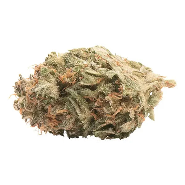 Bud image for MKLTR, cannabis dried flower by Re-Up