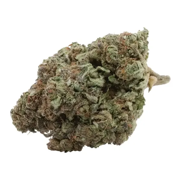 Bud image for MMMOSA, cannabis dried flower by Wink