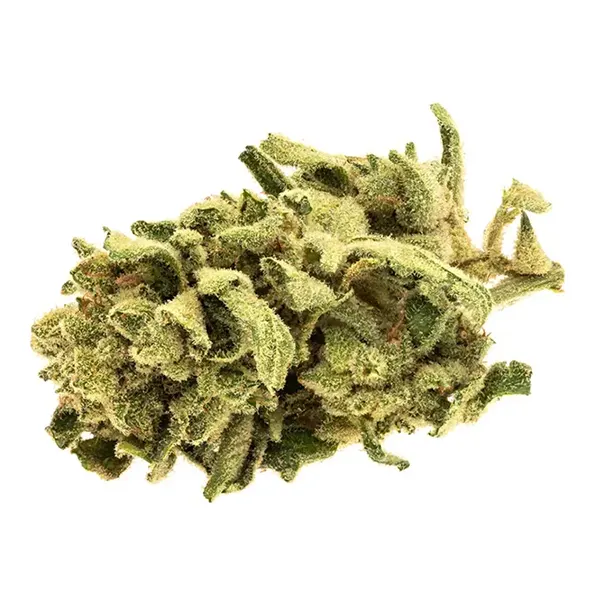 Bud image for Monkey Glue, cannabis dried flower by Good Supply