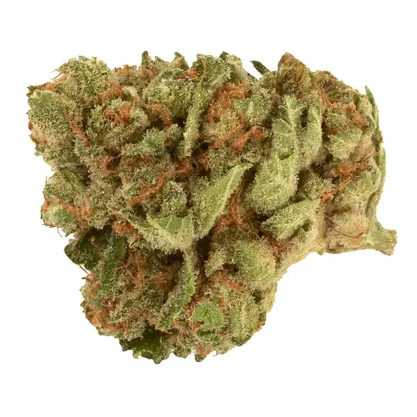 Product image for No. 7 Craft, Cannabis Flower by FIGR