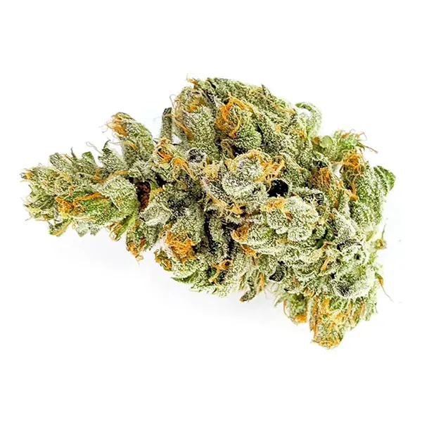 Bud image for Nova Glue, cannabis dried flower by MSIKU