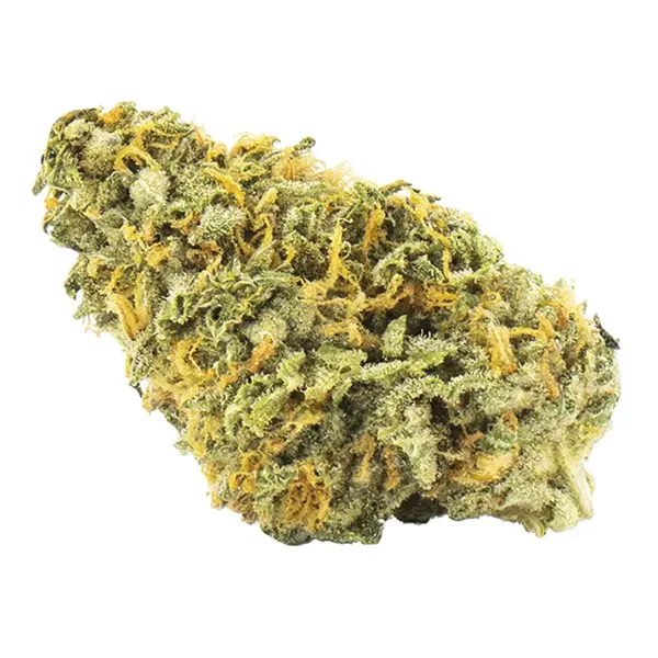 Bud image for Nuken, cannabis all categories by Palmetto