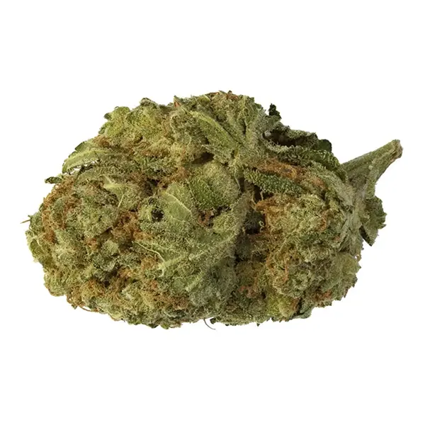 Product image for Paris OG, Cannabis Flower by 48North