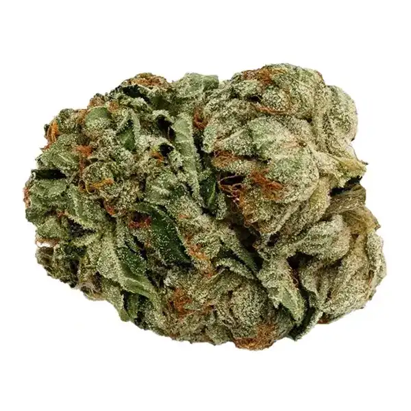 Bud image for Pink Kush, cannabis all categories by Pure Sunfarms