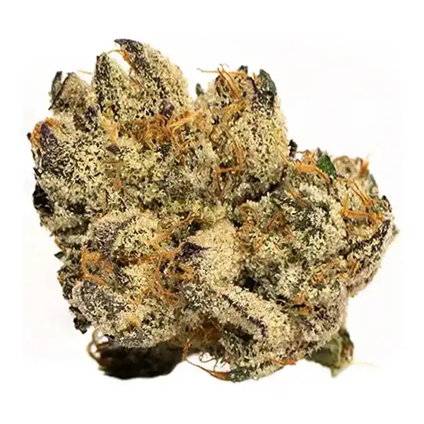 Product image for Purple Kush, Cannabis Flower by Robinsons