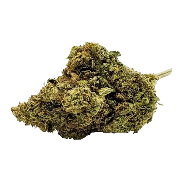 Bud image for Rally (Island Sweet Skunk), cannabis all categories by Fleurish