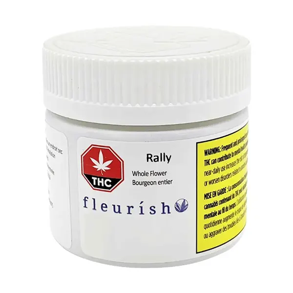 Rally (Island Sweet Skunk) (Dried Flower) by Fleurish