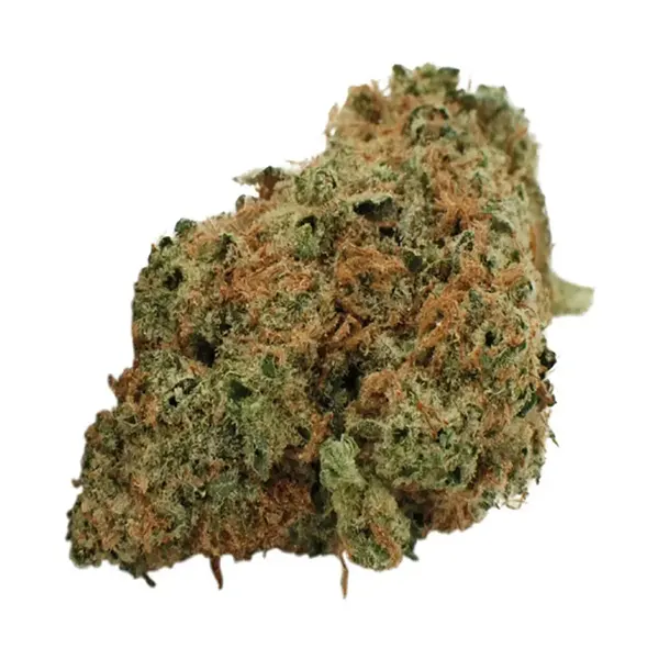 Bud image for Sage N Sour, cannabis dried flower by Citizen Stash