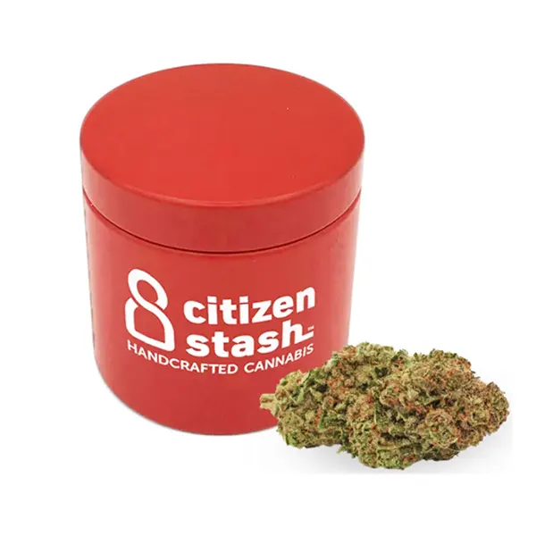 Sage N Sour (Dried Flower) by Citizen Stash