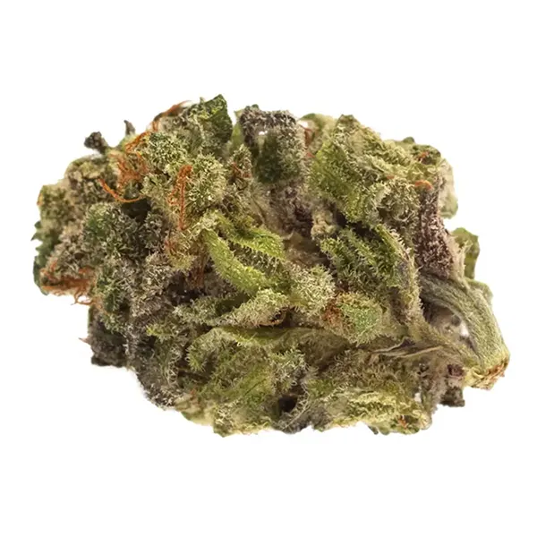 Bud image for Sativa Bud, cannabis dried flower by TWD.28