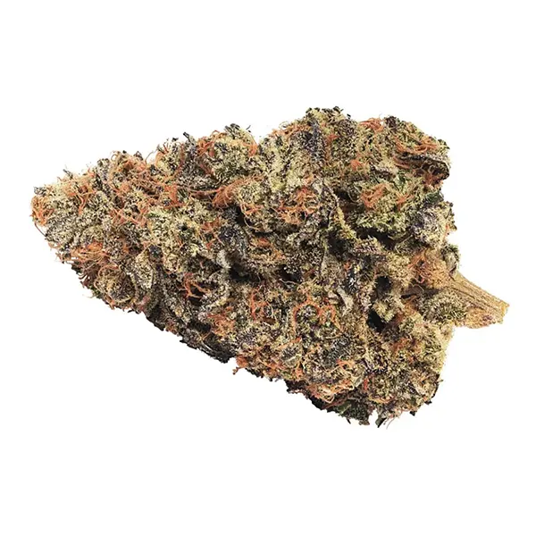 Bud image for Muskmelon OG (Saturna), cannabis dried flower by Broken Coast