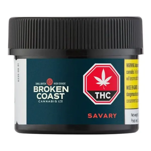 Savary (Dried Flower) by Broken Coast