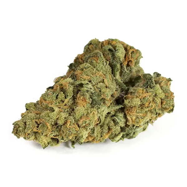 Product image for Select Indica, Cannabis Flower by JWC
