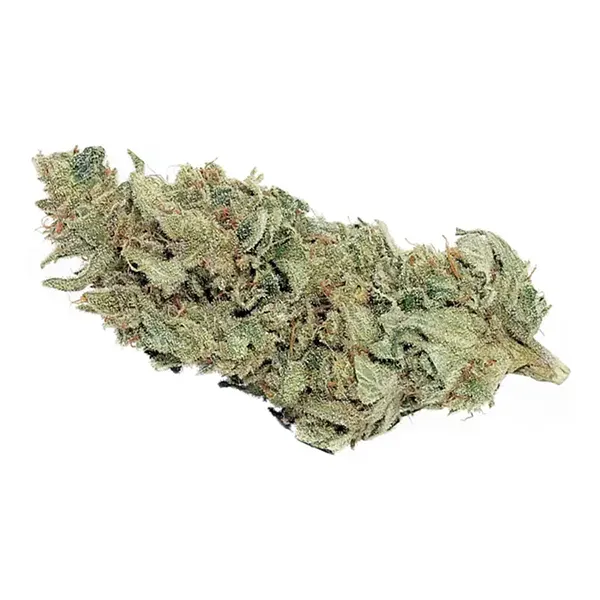 Product image for Sky Pilot, Cannabis Flower by Tantalus Labs