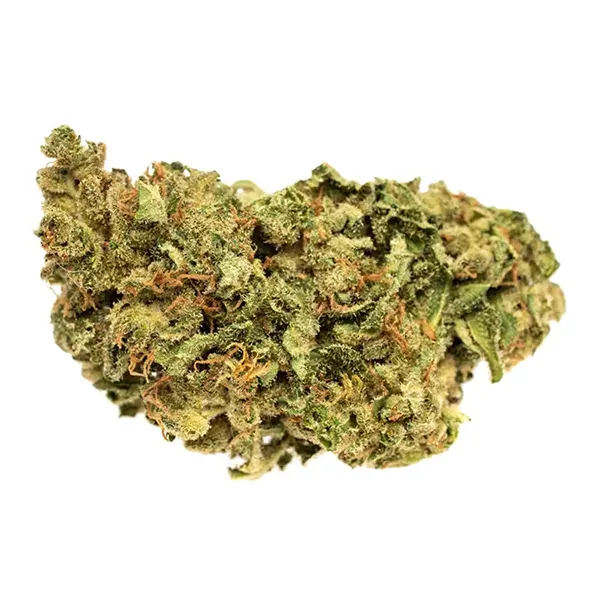 Bud image for Sour Kush, cannabis dried flower by Good Supply