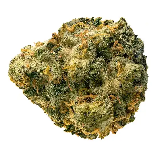 Bud image for Grapefruit GG4 (The General), cannabis dried flower by Edison