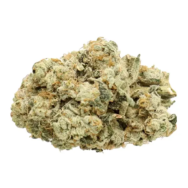 Bud image for True OG, cannabis dried flower by Truro