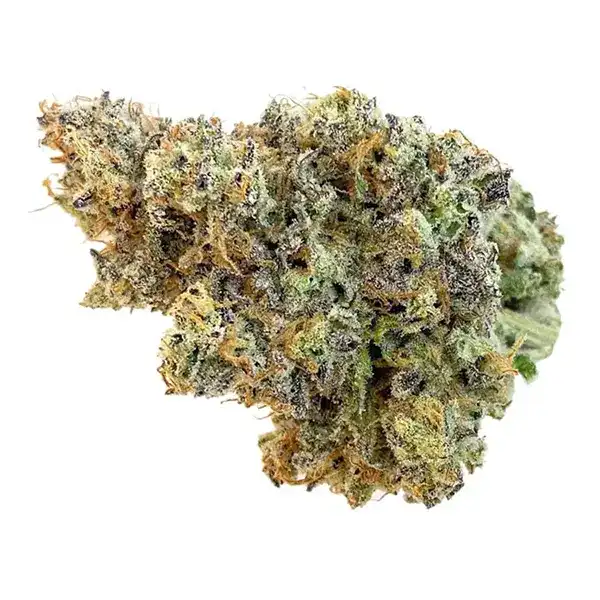 Bud image for Watermelon Zktlz, cannabis all categories by Tenzo