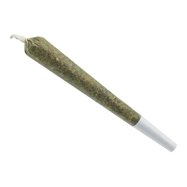 Image for Blue Dream Pre-Roll, cannabis pre-rolls by Spinach