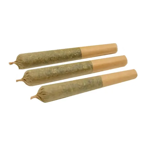 Cindy Jack Pre-Roll (Pre-Rolls) by Weed Me