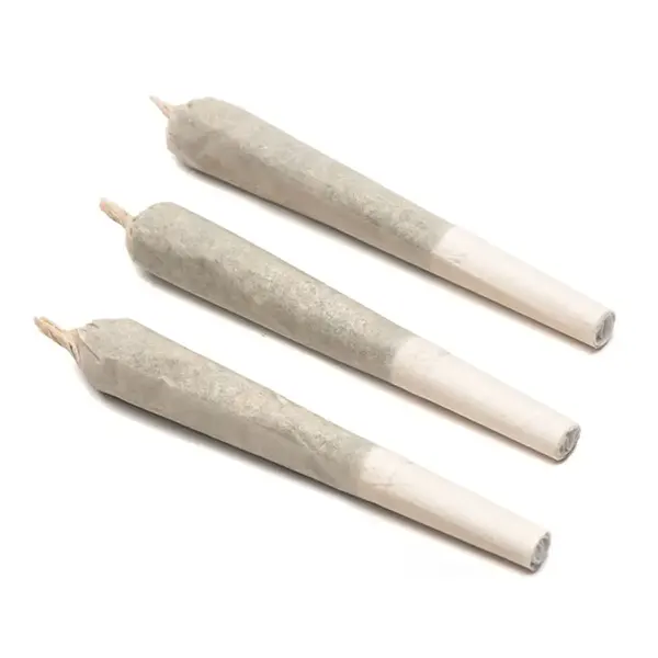 Citrique Pre-Roll (Pre-Rolls) by Namaste