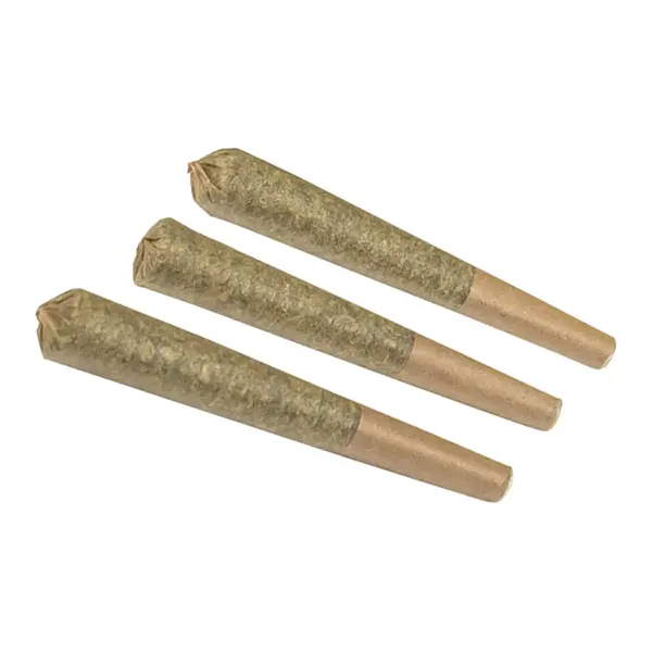 Craft GG #4 Pre-Roll