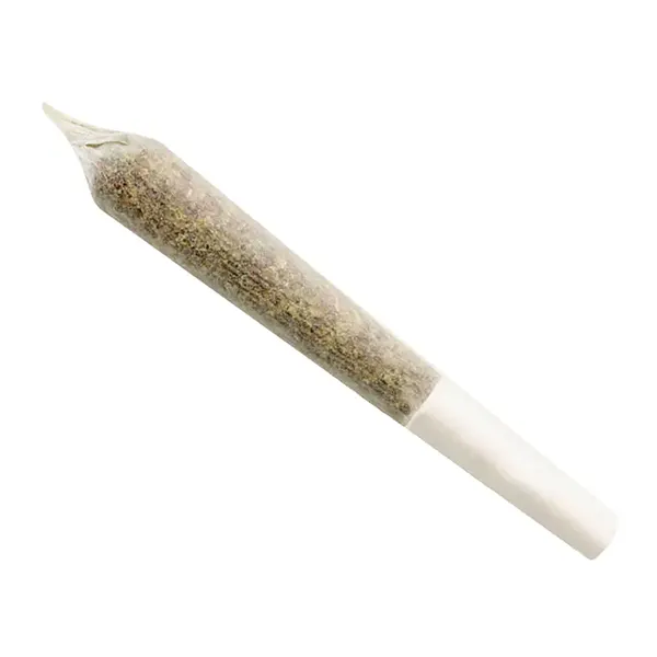 Crescendo Pre-Roll