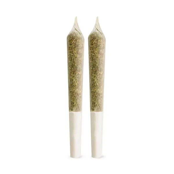 Crescendo Pre-Roll (Pre-Rolls) by Ignite