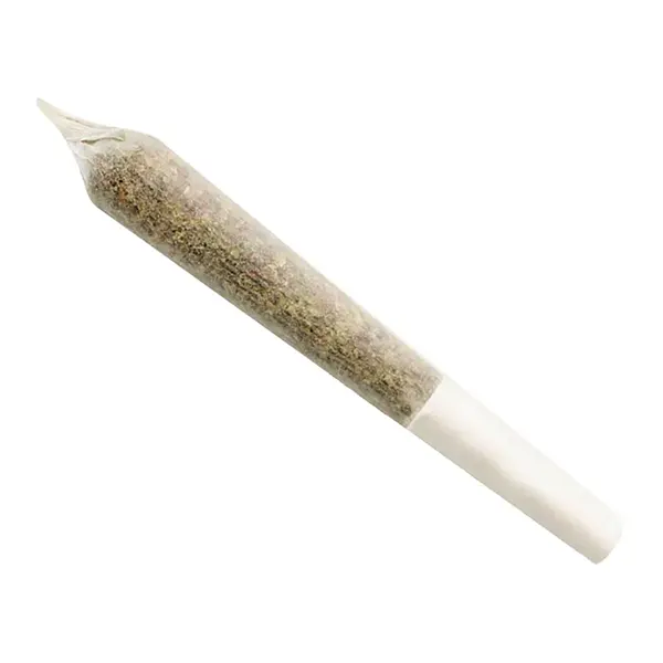 Fireberry Haze Pre-Roll (Pre-Rolls) by Ignite