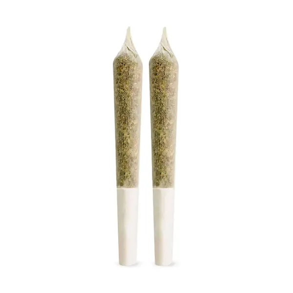 Fireberry Haze Pre-Roll (Pre-Rolls) by Ignite