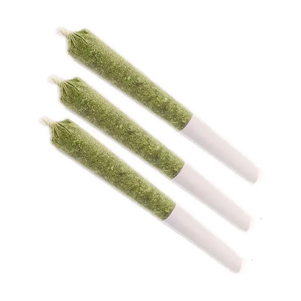 Image for Gelatti Pre-Roll, cannabis pre-rolls by MSIKU