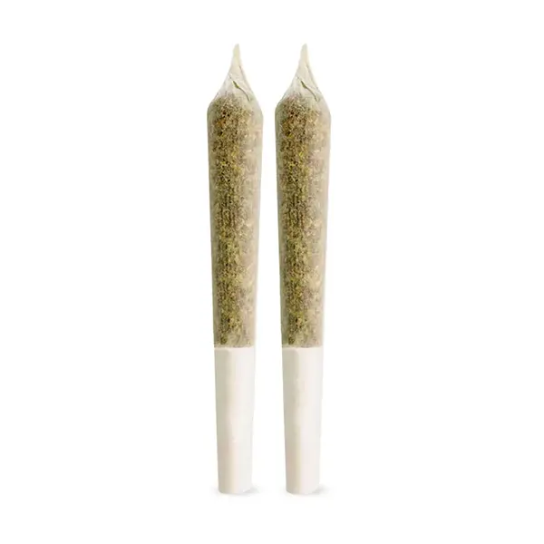 GG#4 Pre-Roll (Pre-Rolls) by Ignite