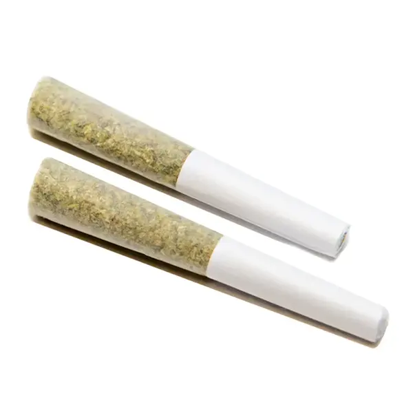 Ghost Train Haze Pre-Roll